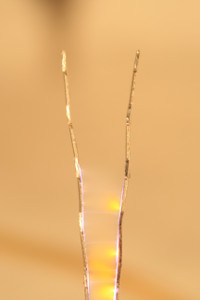6kV NST test